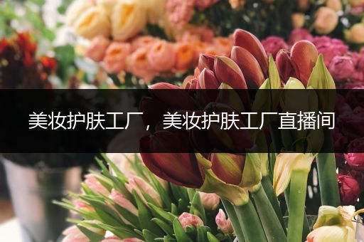 美妝護(hù)膚工廠，美妝護(hù)膚工廠直播間