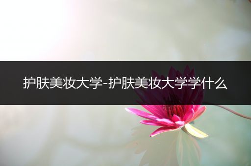 護膚美妝大學-護膚美妝大學學什么