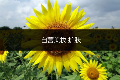 自營美妝 護(hù)膚