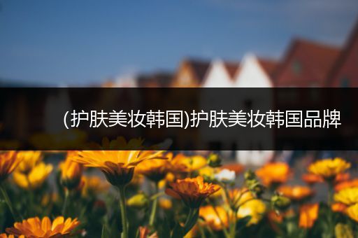 （護(hù)膚美妝韓國)護(hù)膚美妝韓國品牌