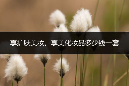 享護(hù)膚美妝，享美化妝品多少錢一套