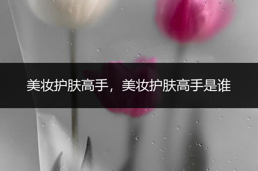 美妝護(hù)膚高手，美妝護(hù)膚高手是誰
