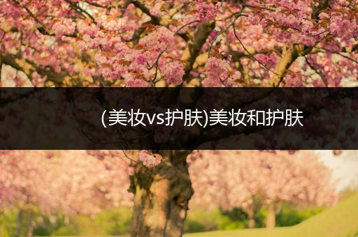 （美妝vs護膚)美妝和護膚