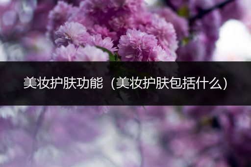 美妝護(hù)膚功能（美妝護(hù)膚包括什么）
