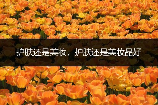 護(hù)膚還是美妝，護(hù)膚還是美妝品好