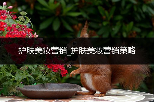 護膚美妝營銷_護膚美妝營銷策略