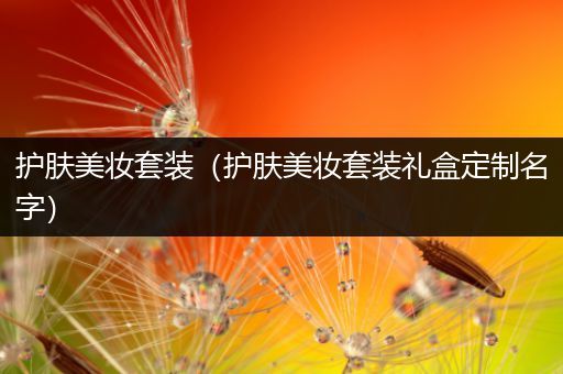 護(hù)膚美妝套裝（護(hù)膚美妝套裝禮盒定制名字）