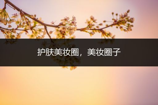 護膚美妝圈，美妝圈子