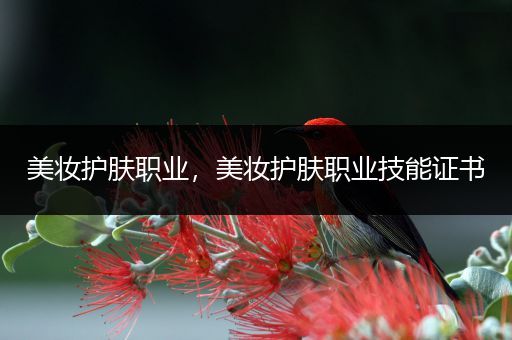 美妝護(hù)膚職業(yè)，美妝護(hù)膚職業(yè)技能證書