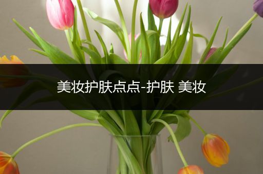 美妝護(hù)膚點(diǎn)點(diǎn)-護(hù)膚 美妝