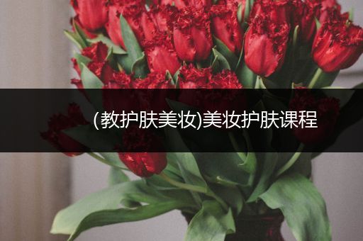 （教護(hù)膚美妝)美妝護(hù)膚課程
