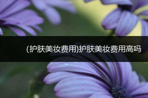 （護(hù)膚美妝費(fèi)用)護(hù)膚美妝費(fèi)用高嗎