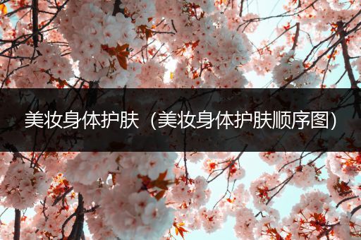美妝身體護膚（美妝身體護膚順序圖）