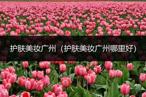 護(hù)膚美妝廣州（護(hù)膚美妝廣州哪里好）