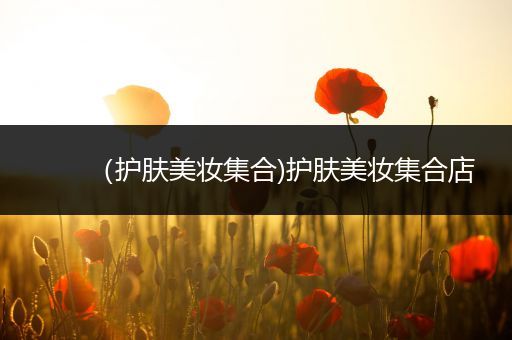 （護(hù)膚美妝集合)護(hù)膚美妝集合店