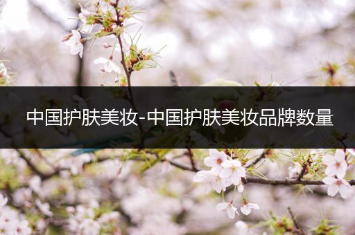 中國護(hù)膚美妝-中國護(hù)膚美妝品牌數(shù)量