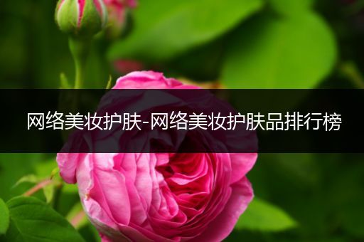 網(wǎng)絡美妝護膚-網(wǎng)絡美妝護膚品排行榜