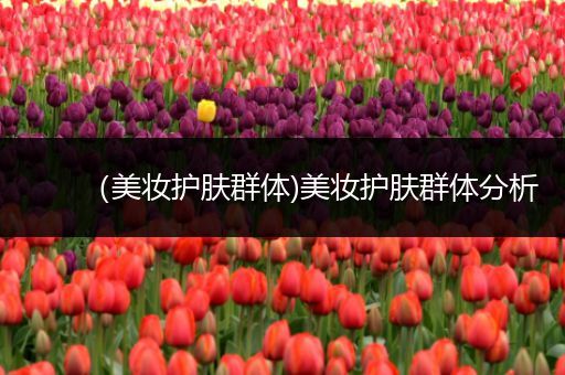 （美妝護膚群體)美妝護膚群體分析