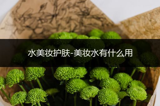 水美妝護(hù)膚-美妝水有什么用