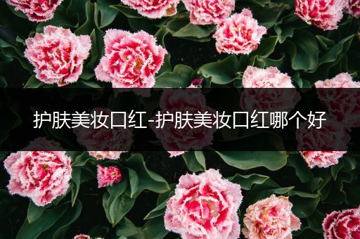 護(hù)膚美妝口紅-護(hù)膚美妝口紅哪個(gè)好