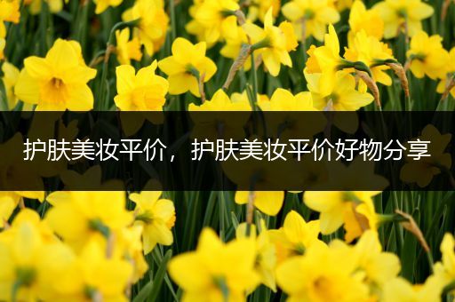 護(hù)膚美妝平價(jià)，護(hù)膚美妝平價(jià)好物分享