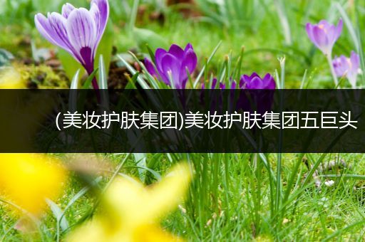 （美妝護膚集團)美妝護膚集團五巨頭