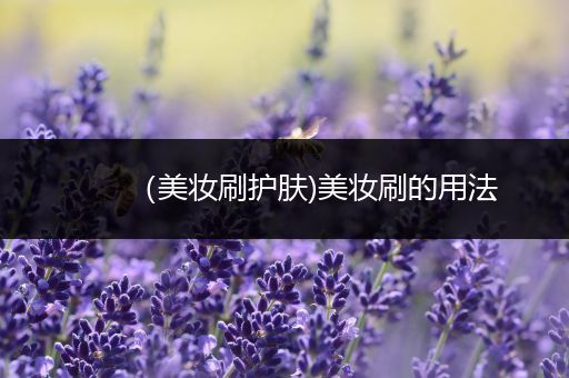 （美妝刷護(hù)膚)美妝刷的用法