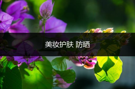 美妝護(hù)膚 防曬