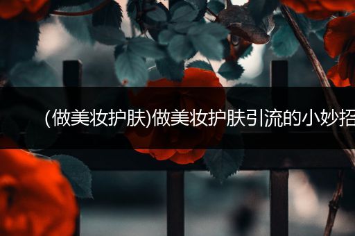 （做美妝護(hù)膚)做美妝護(hù)膚引流的小妙招