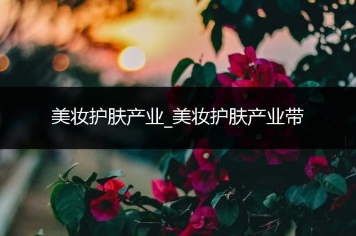 美妝護膚產(chǎn)業(yè)_美妝護膚產(chǎn)業(yè)帶