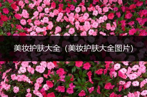 美妝護(hù)膚大全（美妝護(hù)膚大全圖片）