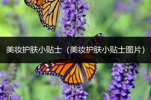 美妝護膚小貼士（美妝護膚小貼士圖片）