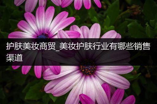 護膚美妝商貿(mào)_美妝護膚行業(yè)有哪些銷售渠道