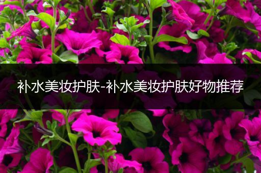 補(bǔ)水美妝護(hù)膚-補(bǔ)水美妝護(hù)膚好物推薦