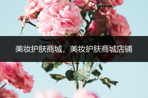 美妝護(hù)膚商城，美妝護(hù)膚商城店鋪