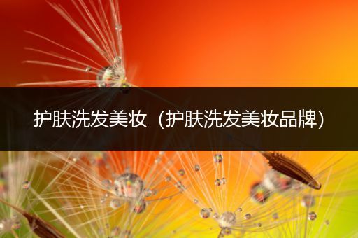 護(hù)膚洗發(fā)美妝（護(hù)膚洗發(fā)美妝品牌）