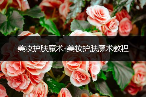 美妝護膚魔術(shù)-美妝護膚魔術(shù)教程