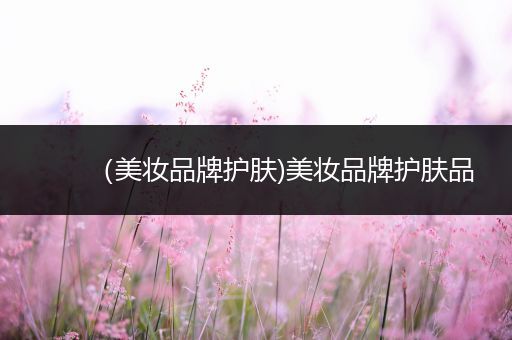 （美妝品牌護(hù)膚)美妝品牌護(hù)膚品