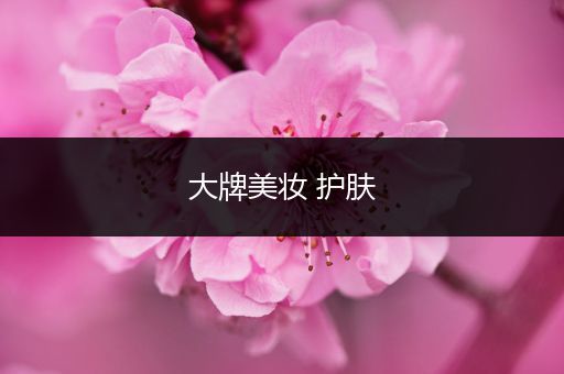 大牌美妝 護(hù)膚