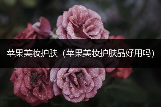 蘋果美妝護(hù)膚（蘋果美妝護(hù)膚品好用嗎）