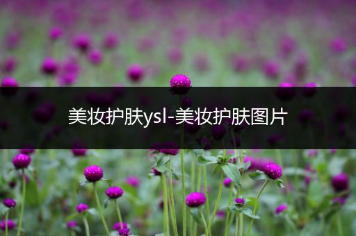 美妝護膚ysl-美妝護膚圖片