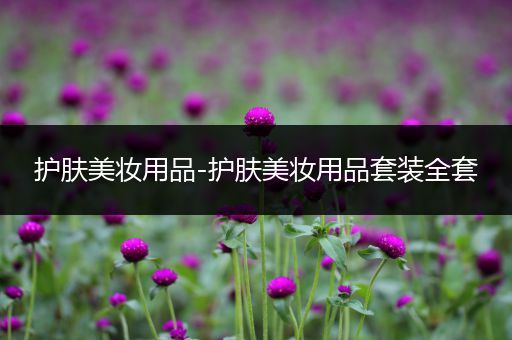 護(hù)膚美妝用品-護(hù)膚美妝用品套裝全套