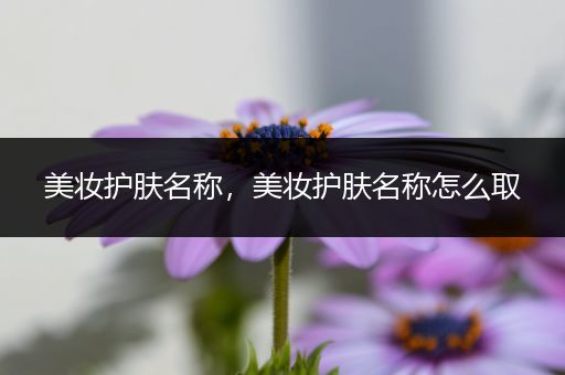 美妝護(hù)膚名稱(chēng)，美妝護(hù)膚名稱(chēng)怎么取