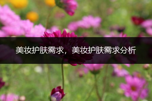 美妝護(hù)膚需求，美妝護(hù)膚需求分析