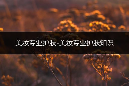 美妝專(zhuān)業(yè)護(hù)膚-美妝專(zhuān)業(yè)護(hù)膚知識(shí)