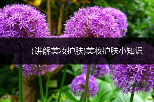 （講解美妝護膚)美妝護膚小知識
