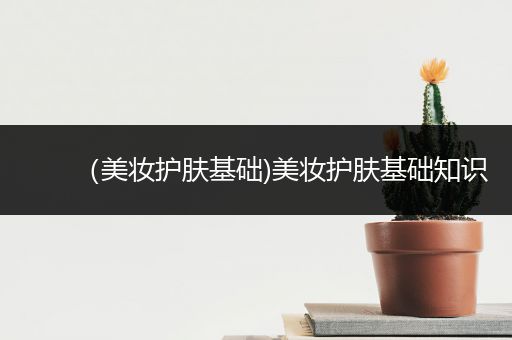 （美妝護(hù)膚基礎(chǔ))美妝護(hù)膚基礎(chǔ)知識(shí)