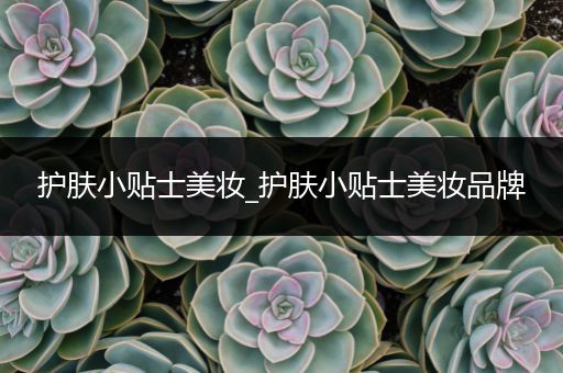 護膚小貼士美妝_護膚小貼士美妝品牌