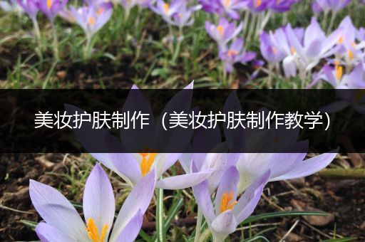 美妝護(hù)膚制作（美妝護(hù)膚制作教學(xué)）