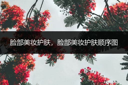 臉部美妝護膚，臉部美妝護膚順序圖